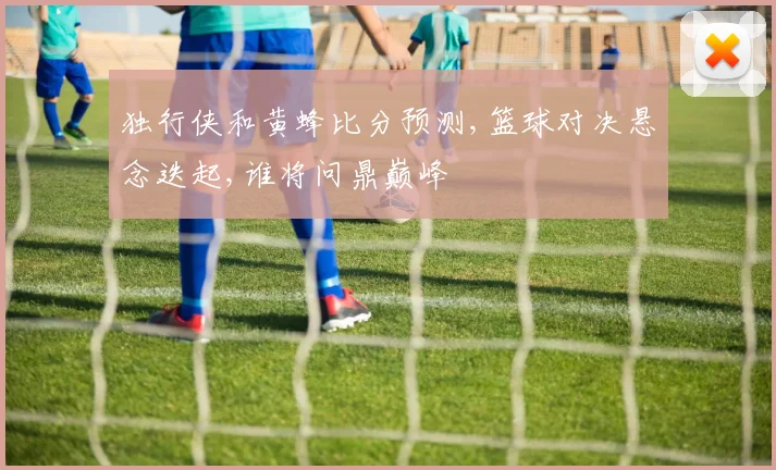独行侠和黄蜂比分预测,篮球对决悬念迭起,谁将问鼎巅峰