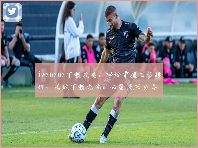 iwanana下载攻略,轻松掌握三步操作,高效下载无忧,必备技巧分享